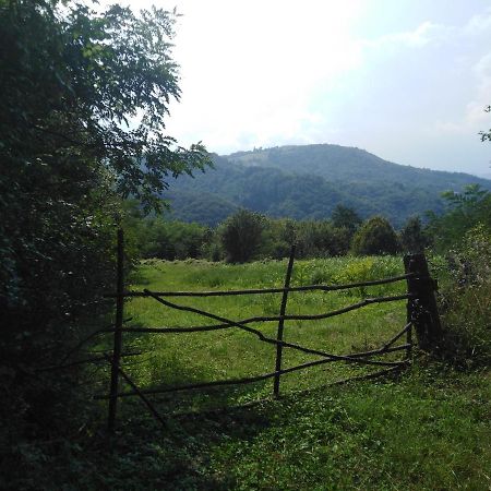 Guesthouse Smiljanic Slavkovica エクステリア 写真