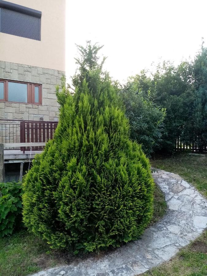 Guesthouse Smiljanic Slavkovica エクステリア 写真