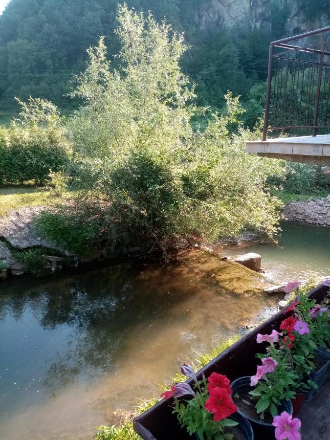 Guesthouse Smiljanic Slavkovica エクステリア 写真