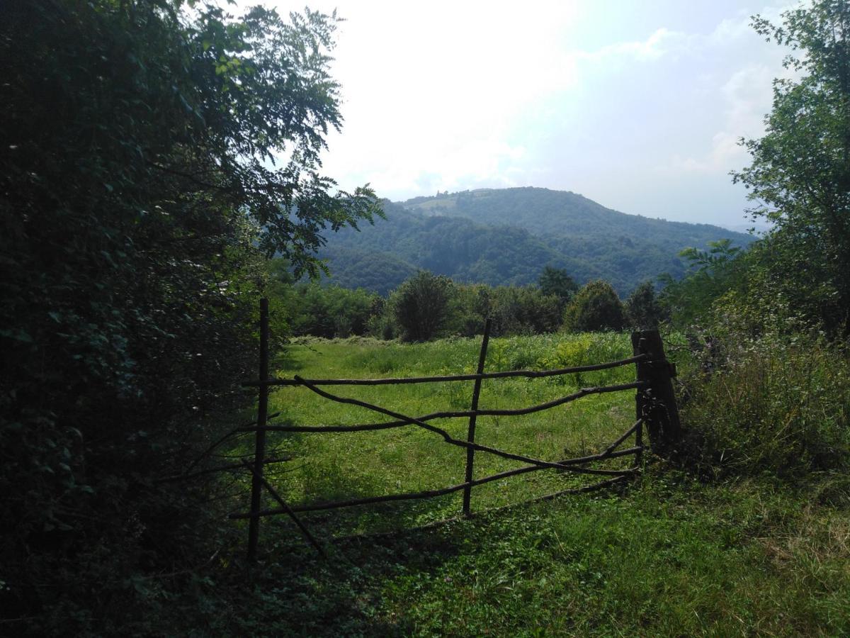 Guesthouse Smiljanic Slavkovica エクステリア 写真