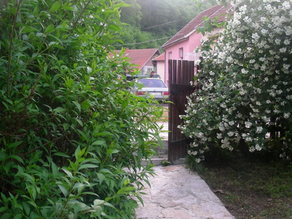 Guesthouse Smiljanic Slavkovica エクステリア 写真