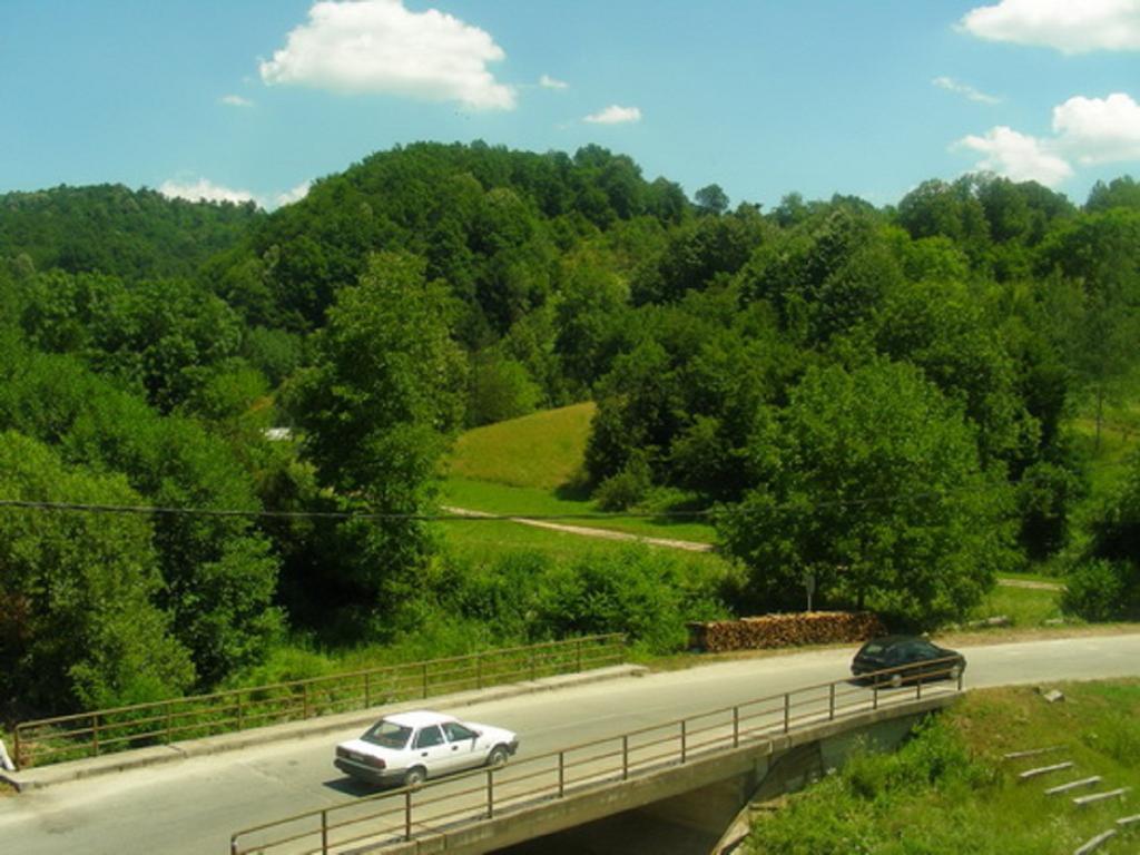 Guesthouse Smiljanic Slavkovica エクステリア 写真