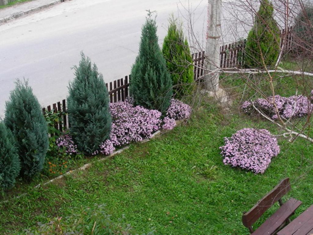 Guesthouse Smiljanic Slavkovica エクステリア 写真