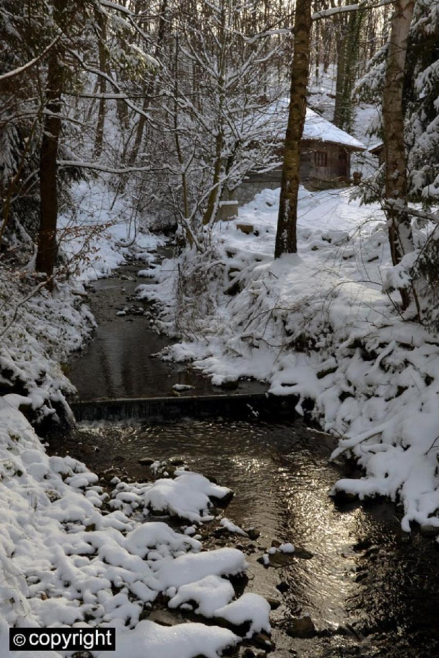 Guesthouse Smiljanic Slavkovica エクステリア 写真