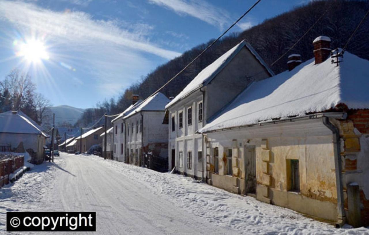 Guesthouse Smiljanic Slavkovica エクステリア 写真
