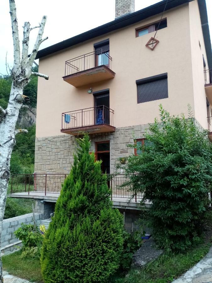 Guesthouse Smiljanic Slavkovica エクステリア 写真